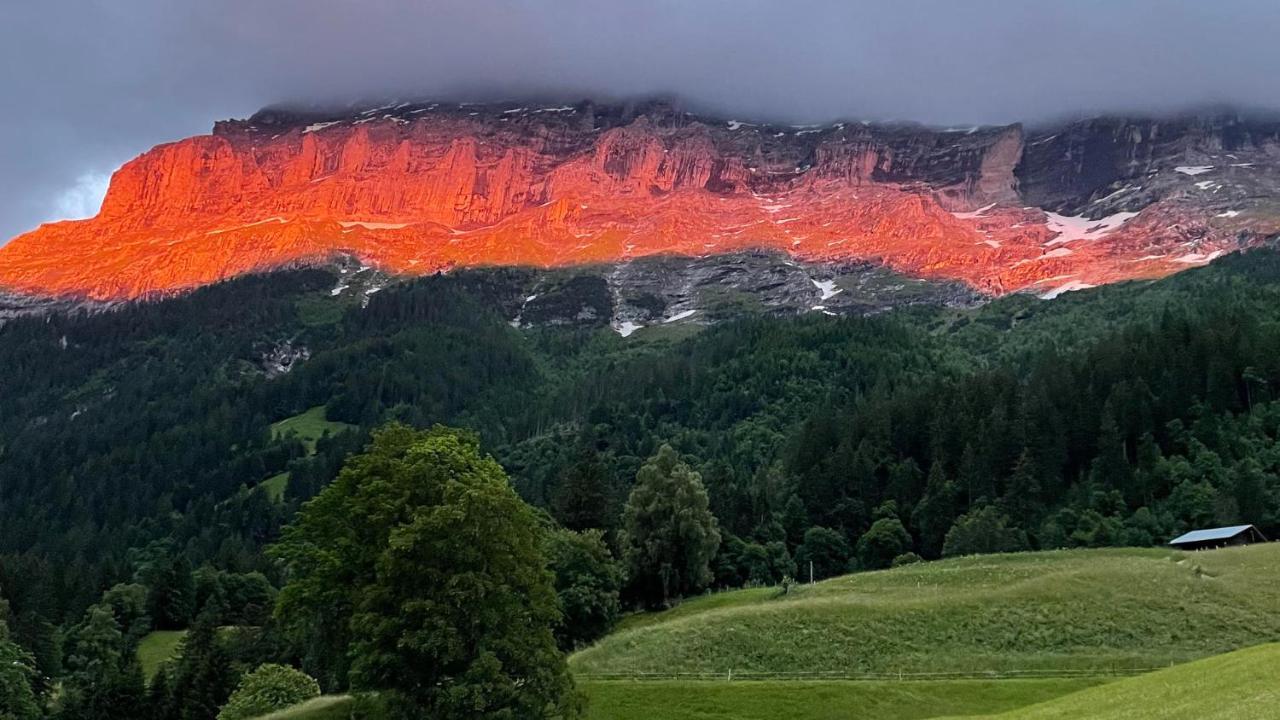 Ferienwohnung Im Gruenen Grindelwald Exteriör bild