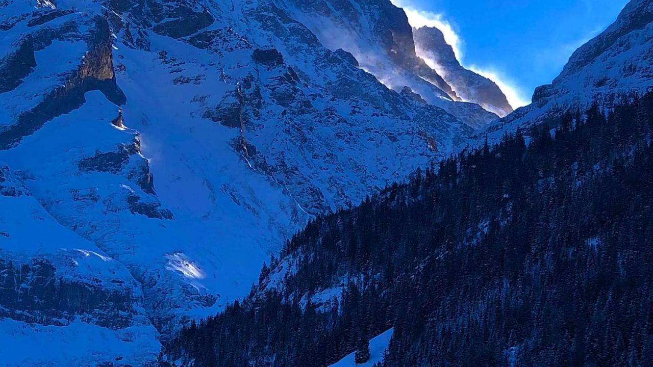 Ferienwohnung Im Gruenen Grindelwald Exteriör bild
