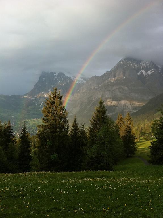 Ferienwohnung Im Gruenen Grindelwald Exteriör bild