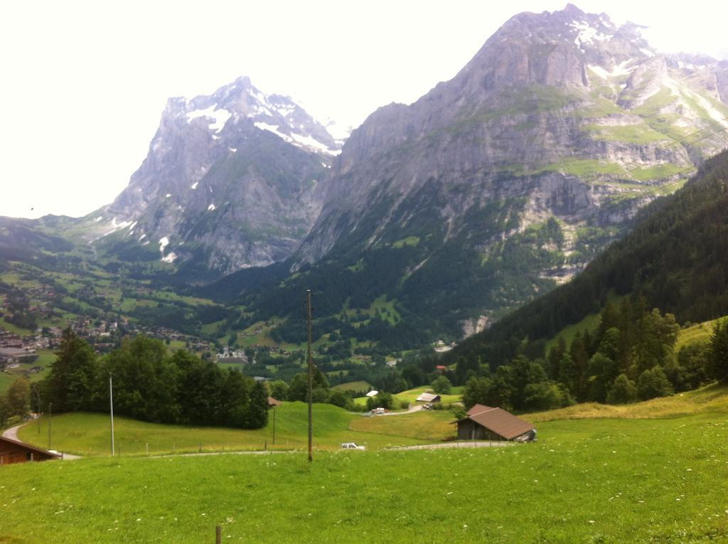 Ferienwohnung Im Gruenen Grindelwald Rum bild