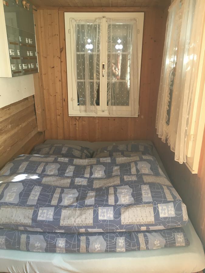 Ferienwohnung Im Gruenen Grindelwald Exteriör bild