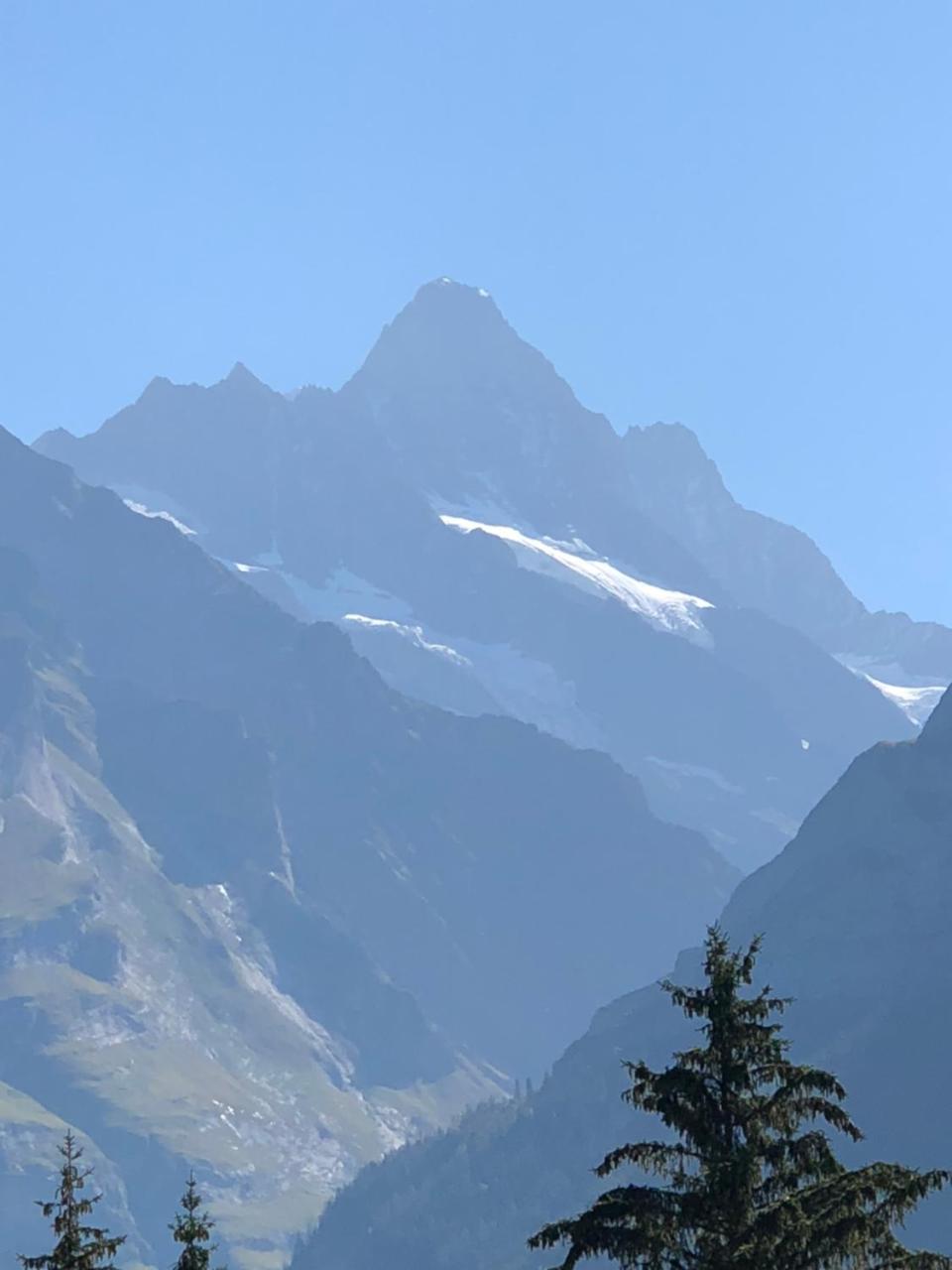 Ferienwohnung Im Gruenen Grindelwald Exteriör bild