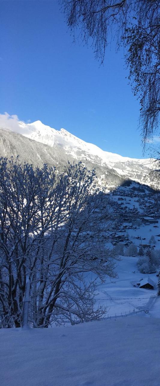 Ferienwohnung Im Gruenen Grindelwald Exteriör bild