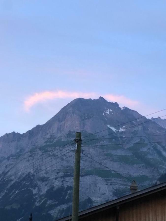 Ferienwohnung Im Gruenen Grindelwald Exteriör bild